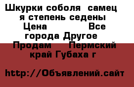 Шкурки соболя (самец) 1-я степень седены › Цена ­ 12 000 - Все города Другое » Продам   . Пермский край,Губаха г.